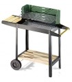 BARBECUE CARBONE  50-25 GREEN/W 50311